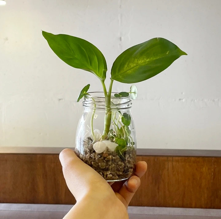 IMG_4759 크게.jpeg