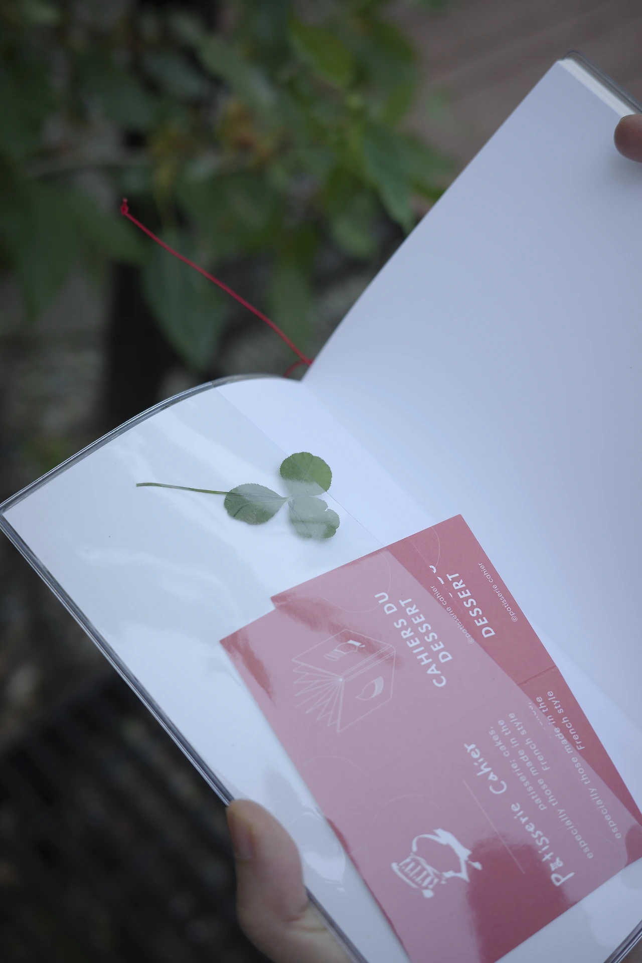 KakaoTalk_Photo_2024-06-04-19-27-54 001.jpeg