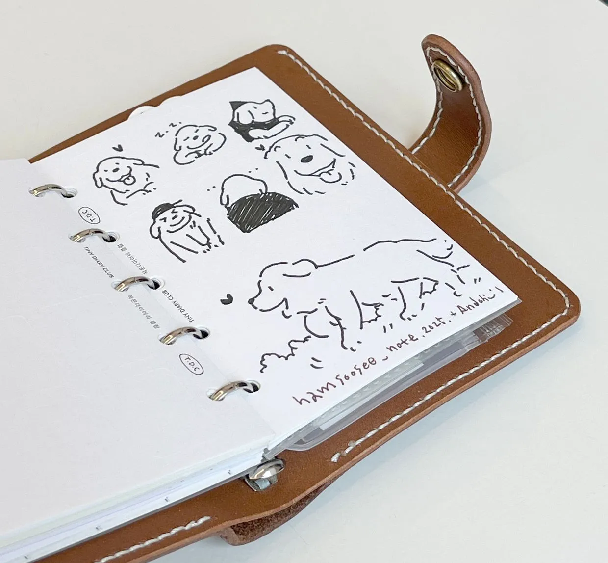 eyJidWNrZXQiOiJ0dW1ibGJ1Zy1pbWctYXNzZXRzIiwia2V5Ijoic3RvcnkvNWM2YjQ1ZGItYmYyZi00OTI4LTkyMTUtNDZhNWMxNzgzNjg1LzI5YmUzMWFjLWQwMWYtNGM1MC04Y2RjLWM0ZDJjZjRmYWQzMS5qcGVnIiwiZWRpdHMiOnsicmVzaXplIjp7IndpZHRoIjoxMjQwLCJ3aXRob3V0RW5sYXJnZW1lbnQiOnRydWV9LCJyb3RhdGUiOm51bGx9fQ==