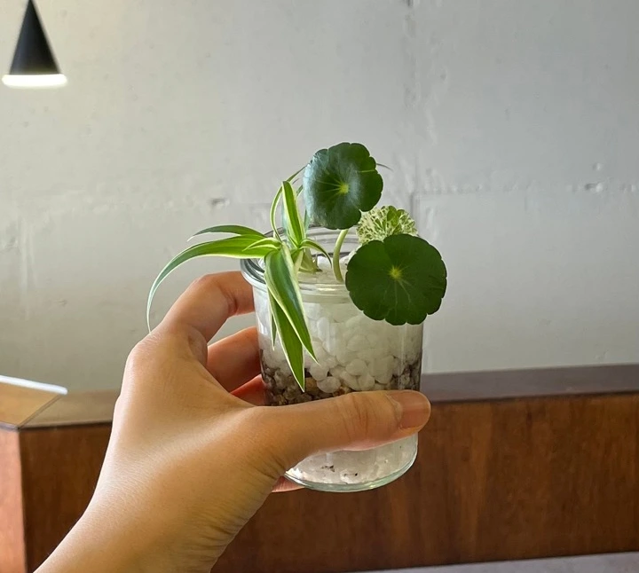 IMG_4751 크게.jpeg