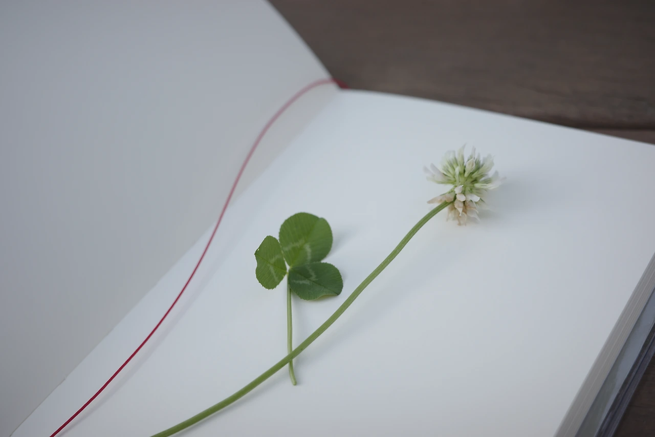 KakaoTalk_Photo_2024-06-04-19-29-04 004.jpeg