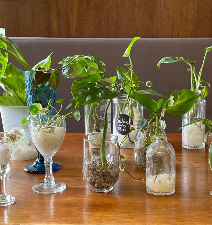 IMG_4744 크게.jpeg