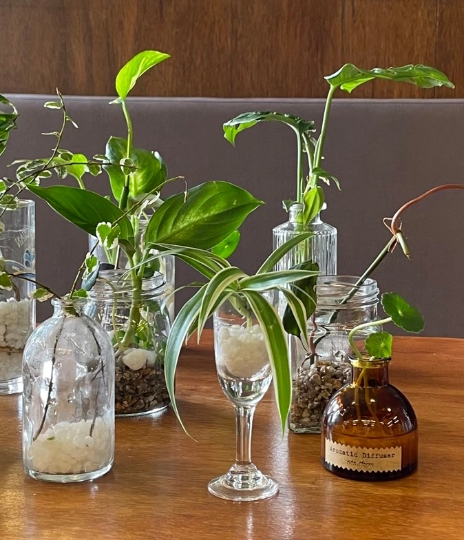 IMG_4745 크게.jpeg