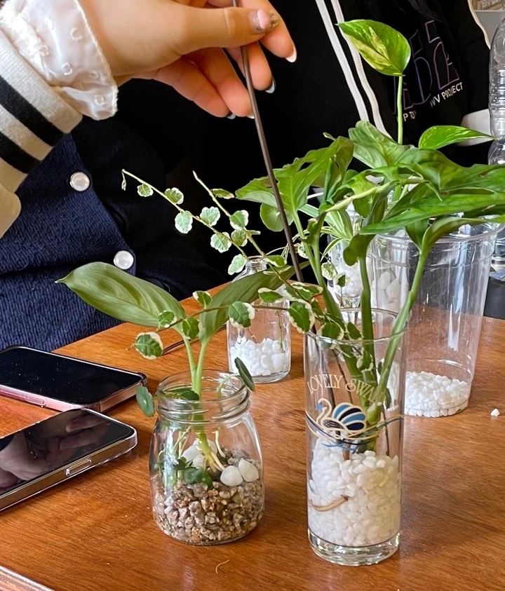 IMG_4734 크게.jpeg