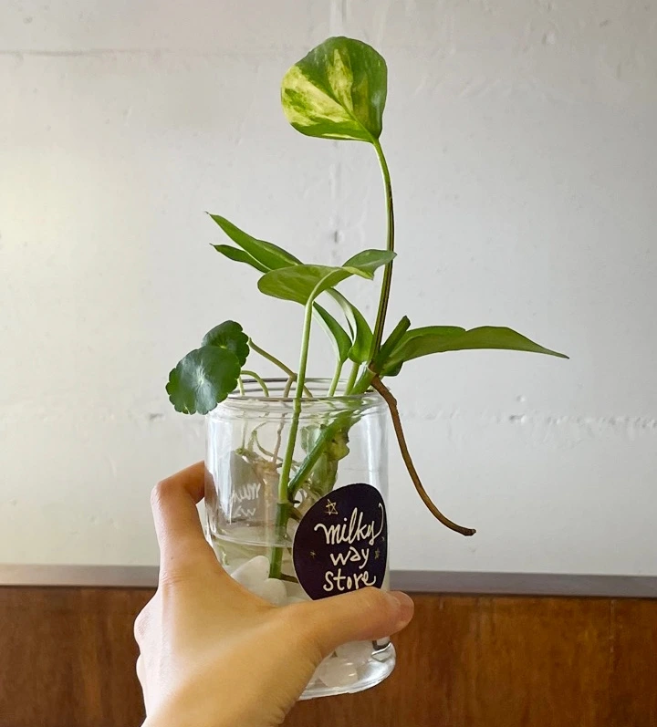 IMG_4760 크게.jpeg