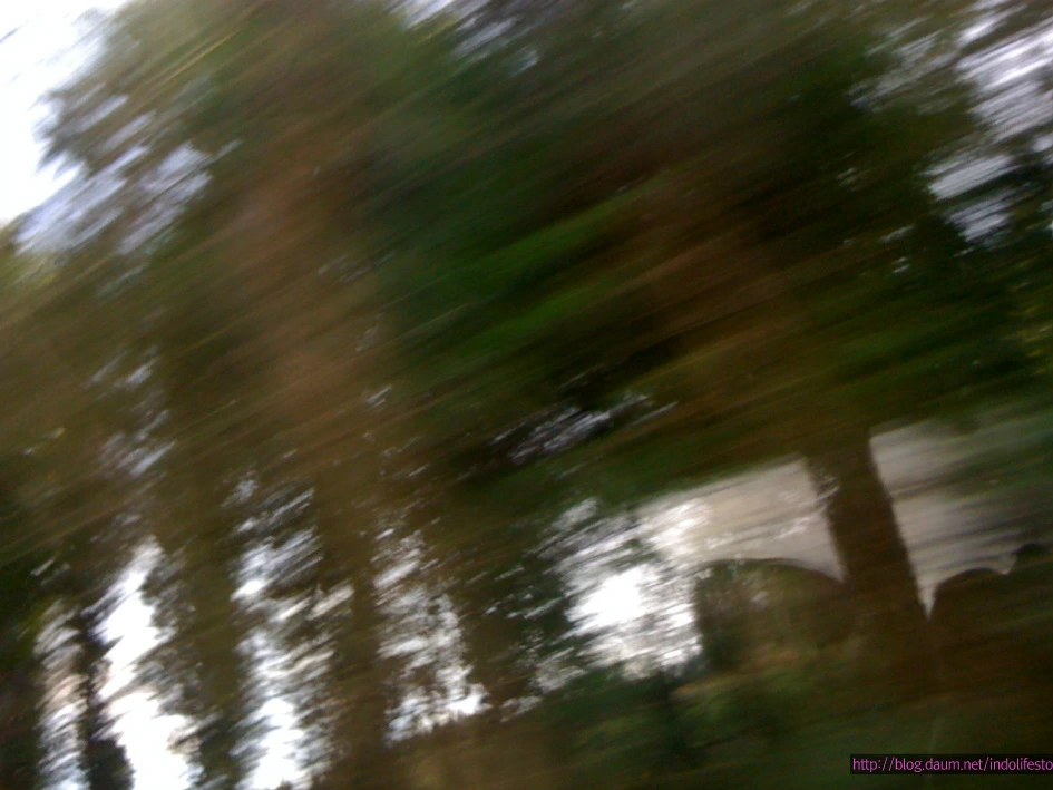 1805BD4950D7ABCD1CFF1B