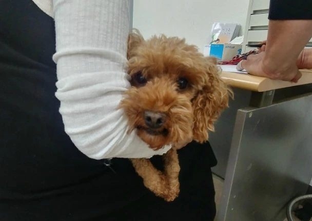 9936E9375BC5C6AB0BABEF