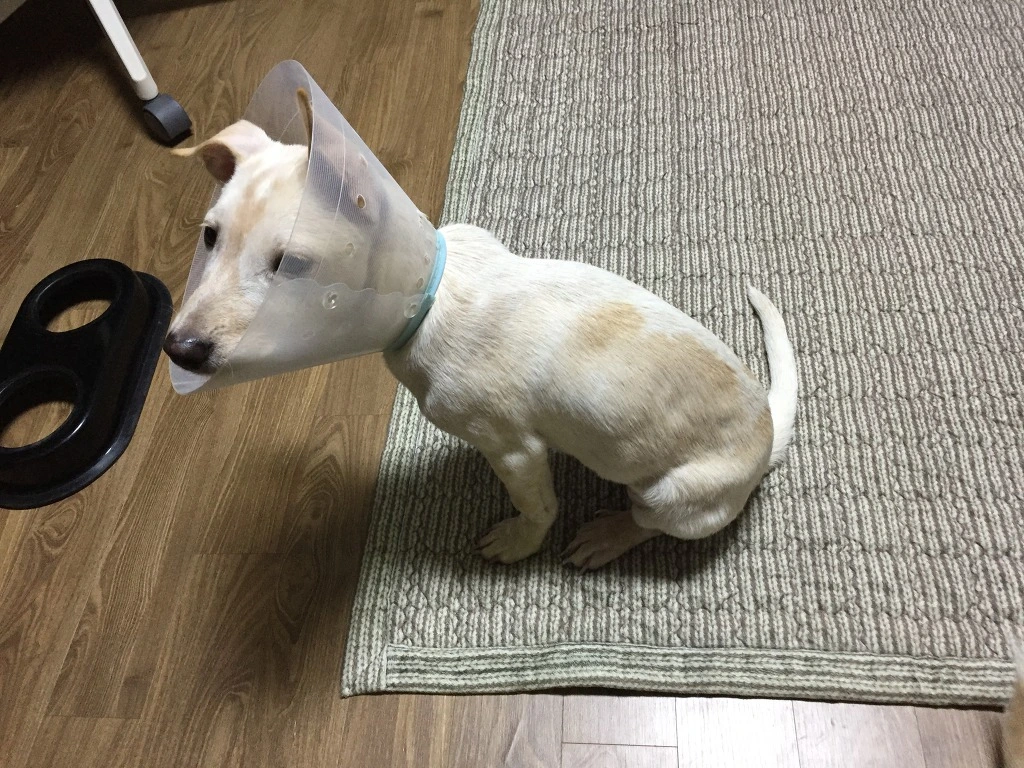 99D5BB3C5BCF015A0C4F13