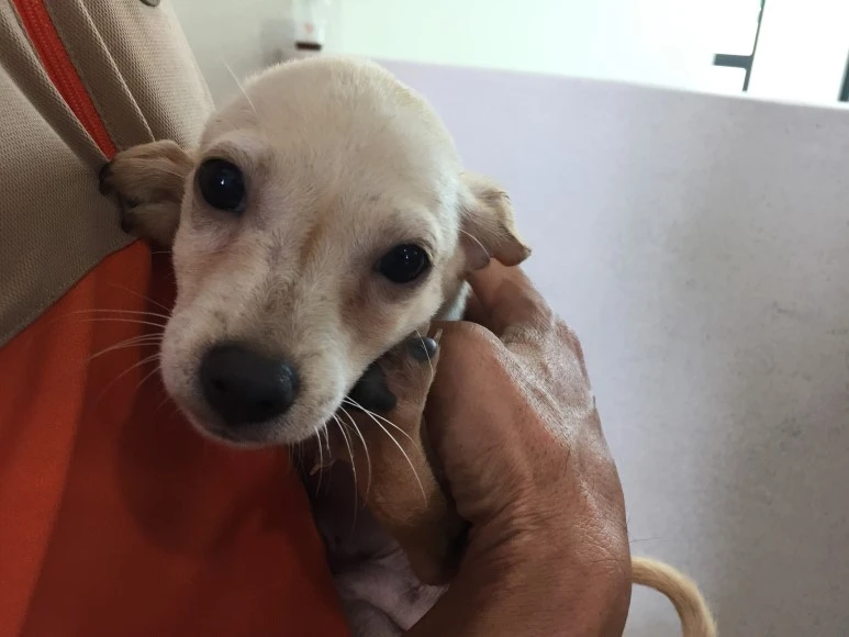 P20180809_141142998_DE8C5CD3-0F39-4D60-A378-6818B9AA7FD0.JPG?type=w773