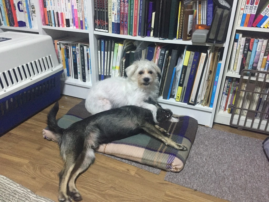 99A06B445C1579691996D6