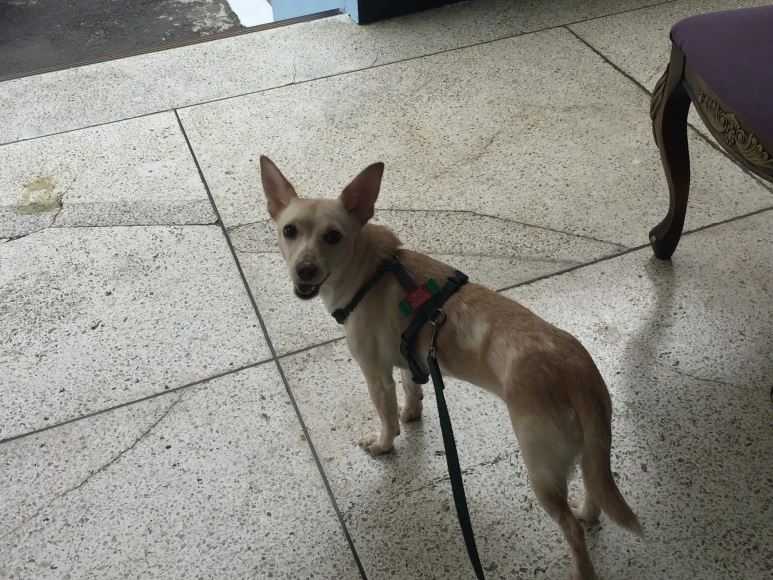 IMG_1712.JPG?type=w773