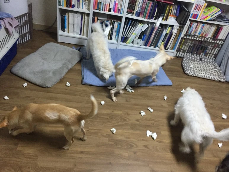 IMG_1736.JPG?type=w773