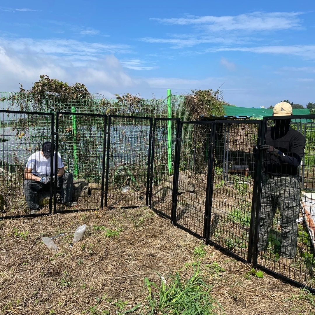 KakaoTalk_Photo_2022-09-19-05-21-46 001.jpeg