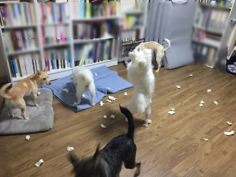 SE-178abdc5-9d59-45b4-b0e4-e978335b78dc.jpg?type=w773