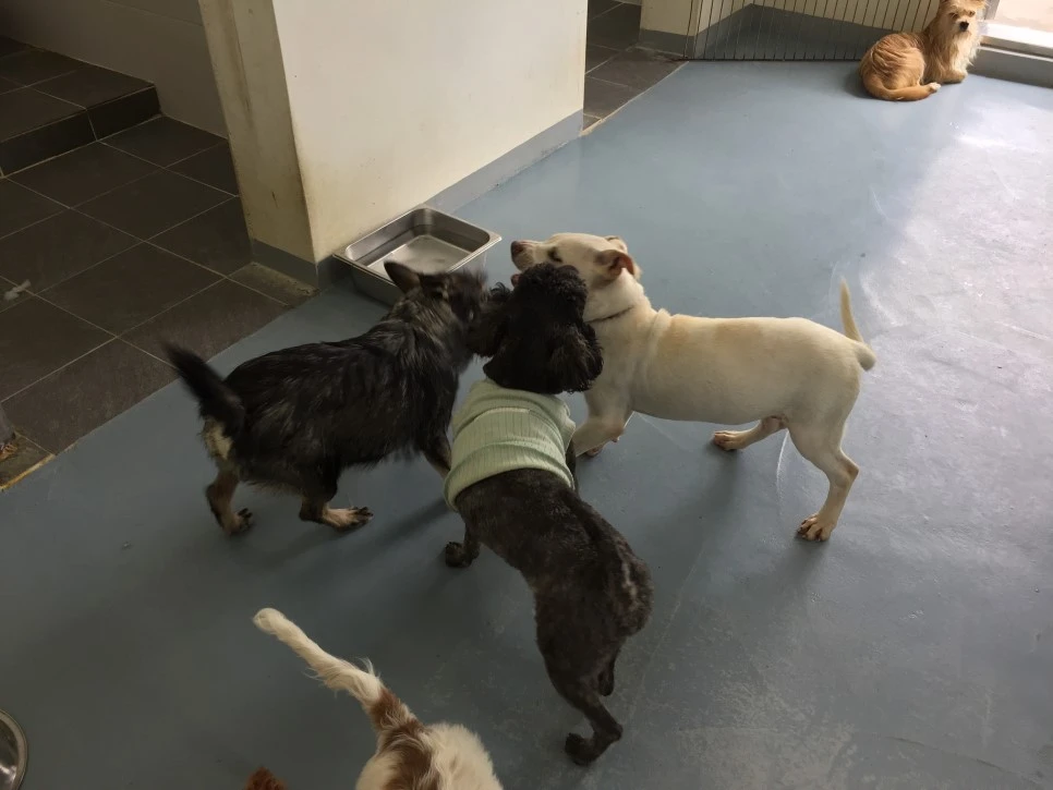 P20181018_133548711_B308FF2E-35EC-45D8-B717-7B108E565B58.JPG?type=w966