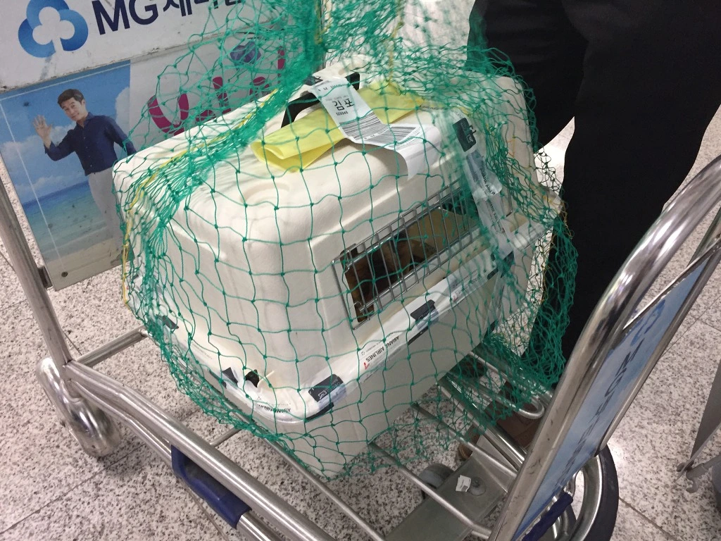 99D730415B9F7EC91E26ED