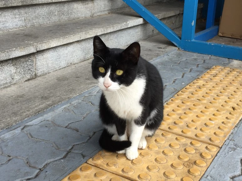 IMG_1849.JPG?type=w773