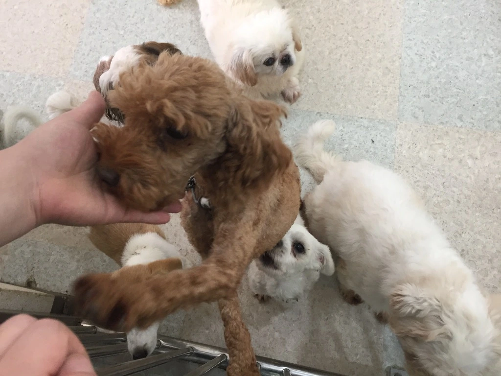 994CBE485BA615861BCB18