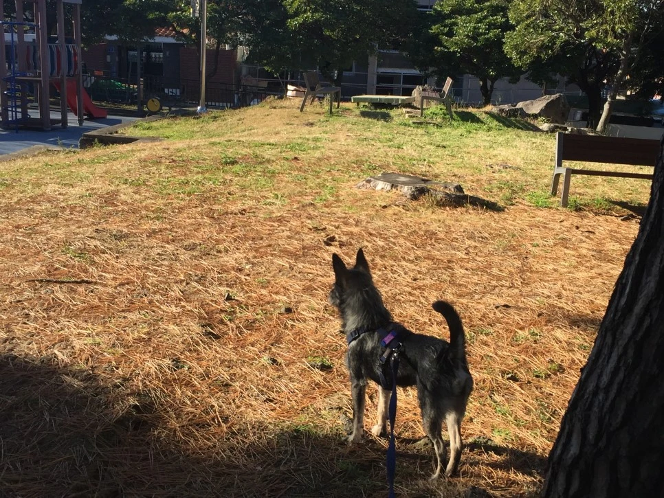 P20181215_101930025_62BD3622-DBB6-4886-AF86-CB7DEB12E1EE.JPG?type=w966