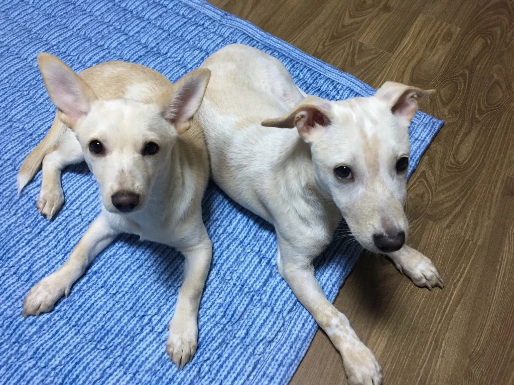 99D98E495BCA5949289F50