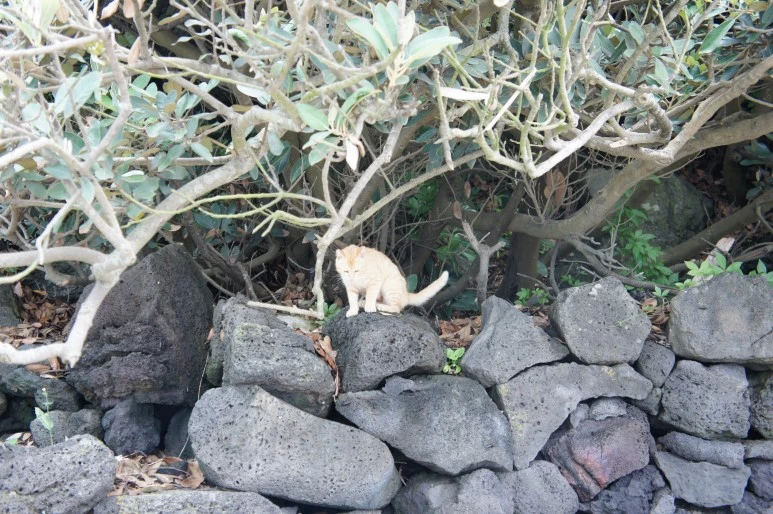 DSC05947.JPG?type=w773