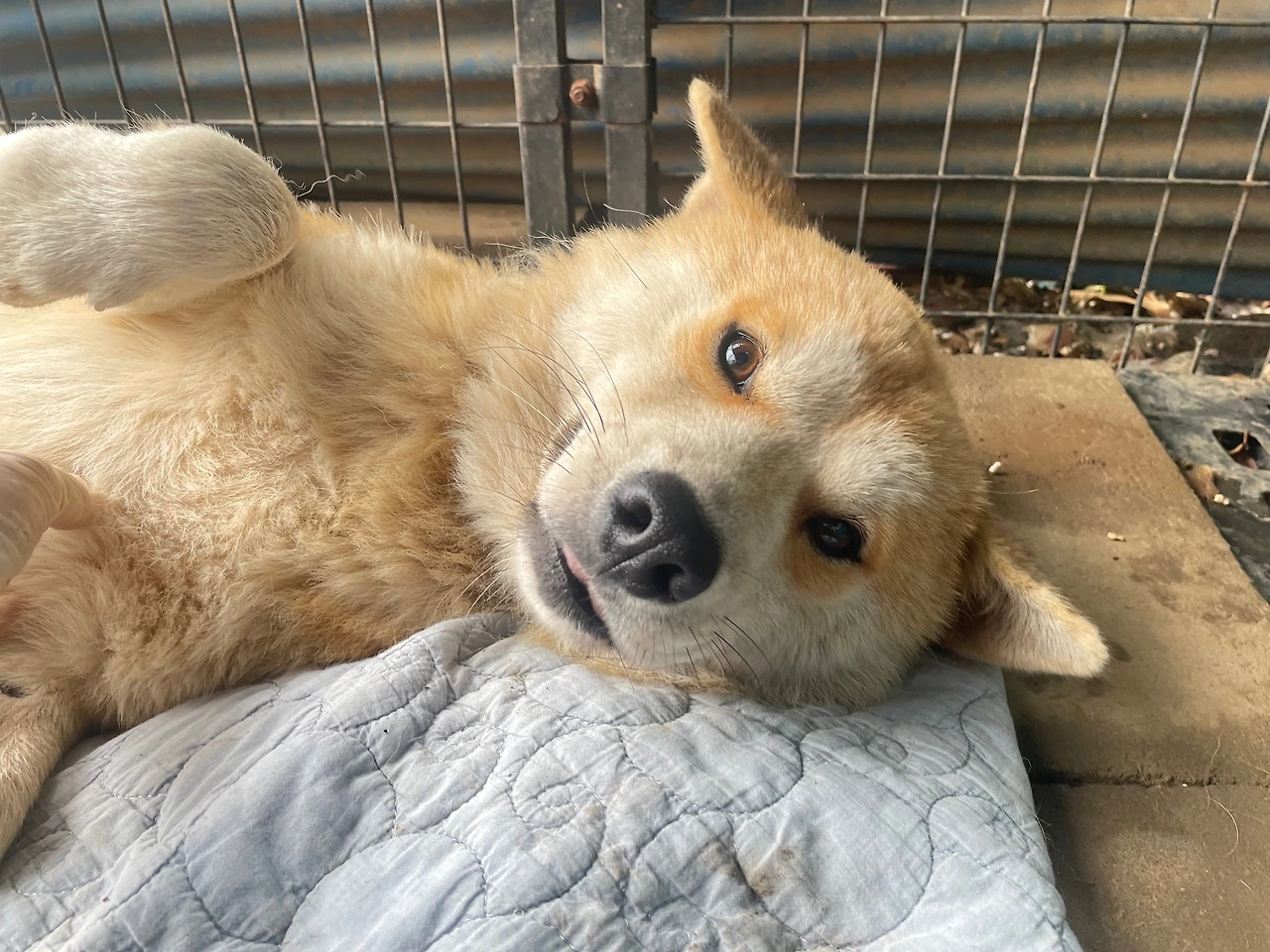 KakaoTalk_Photo_2023-11-06-20-39-11 007jpeg.jpeg