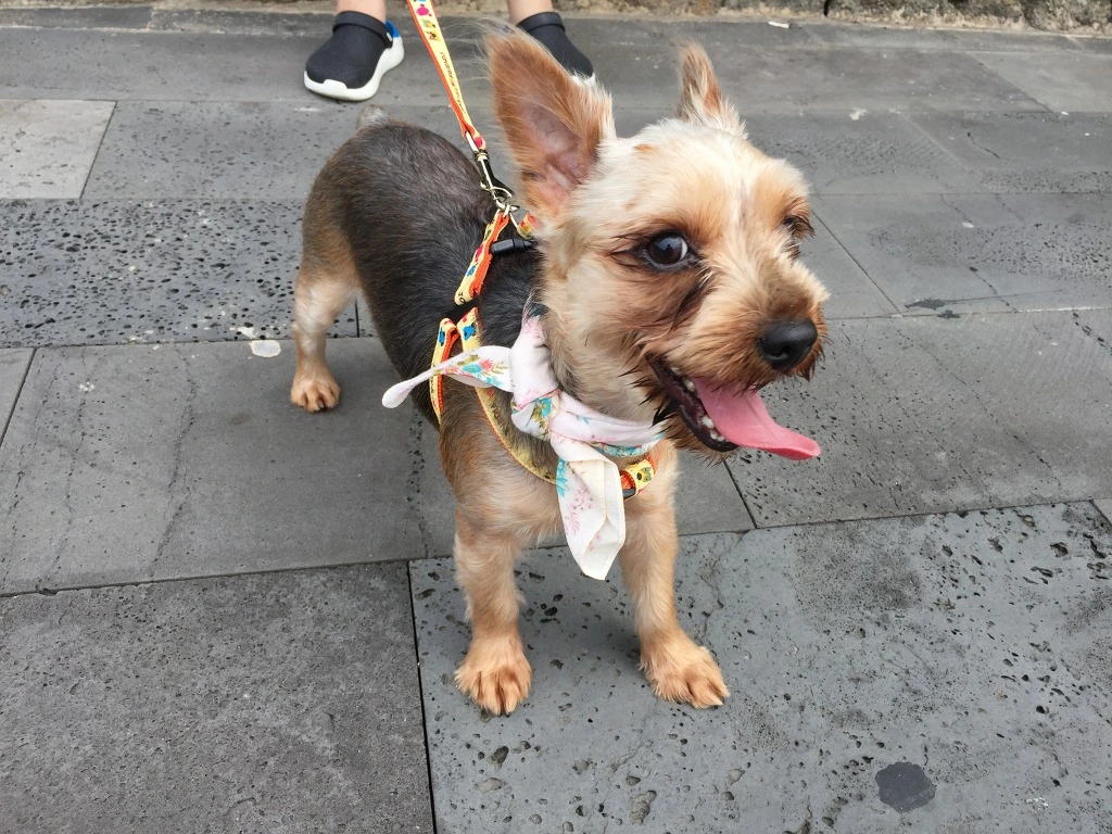 99D0B73D5B9F7E5A24F3DF