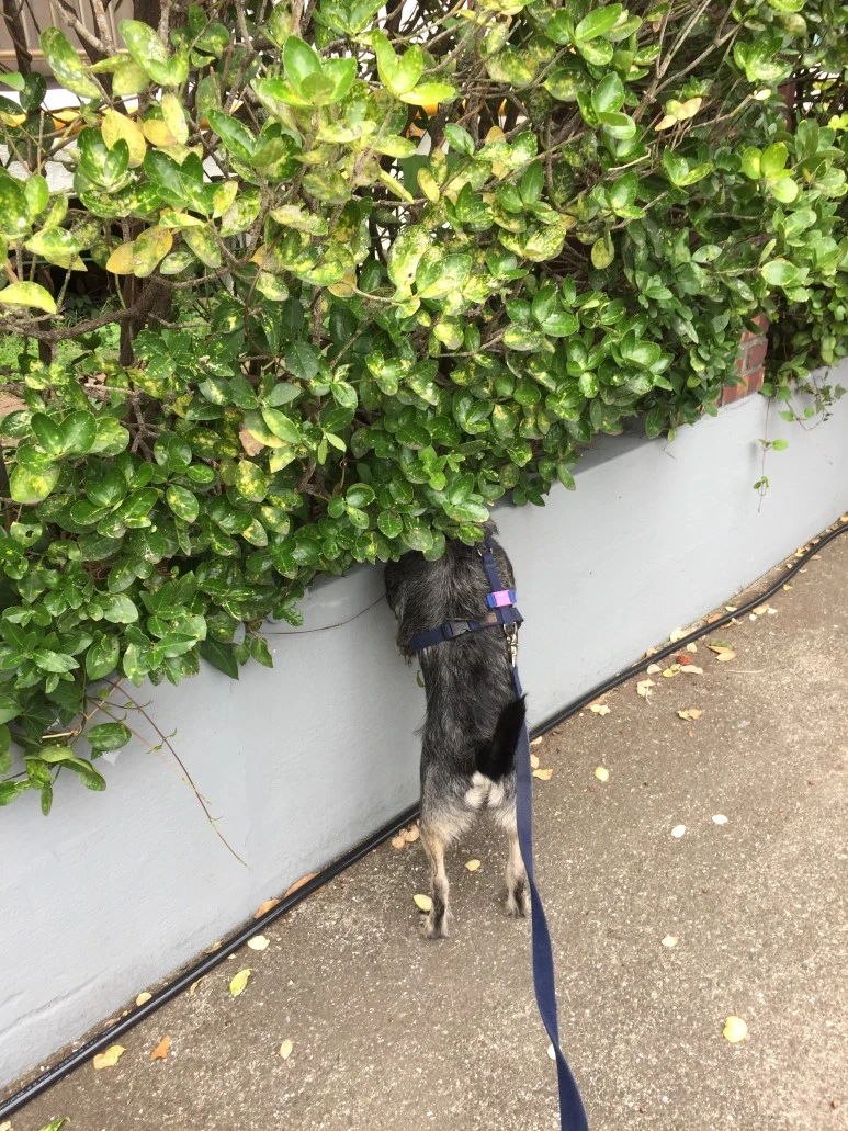 IMG_1714.JPG?type=w773