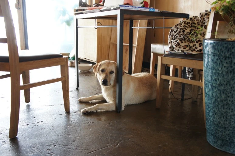 DSC05968.JPG?type=w773