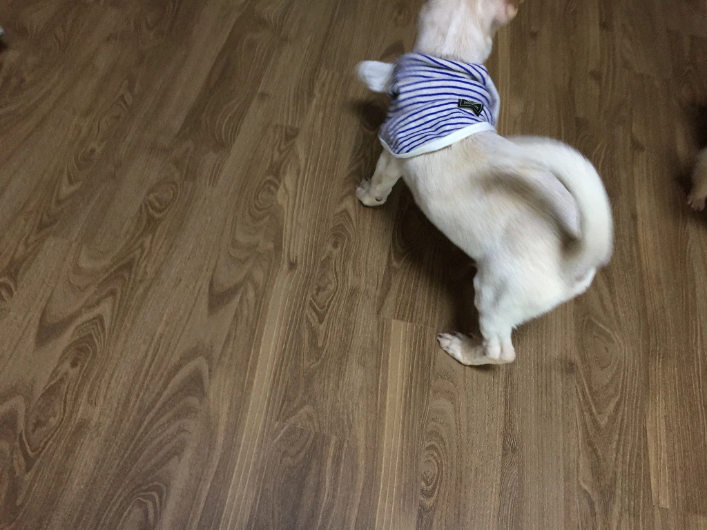 99AD35355B98E08A0C3954