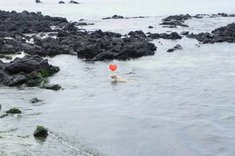 image_3794146031492809740128.jpg?type=w773