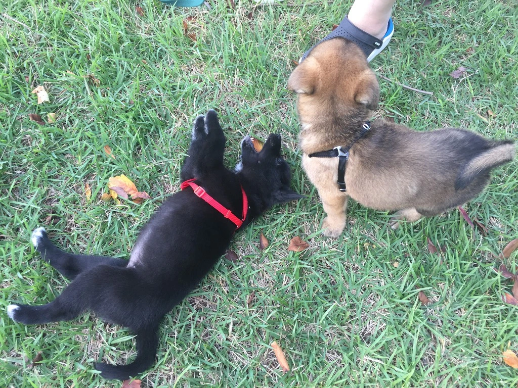 99406F405BAA13EB27D393