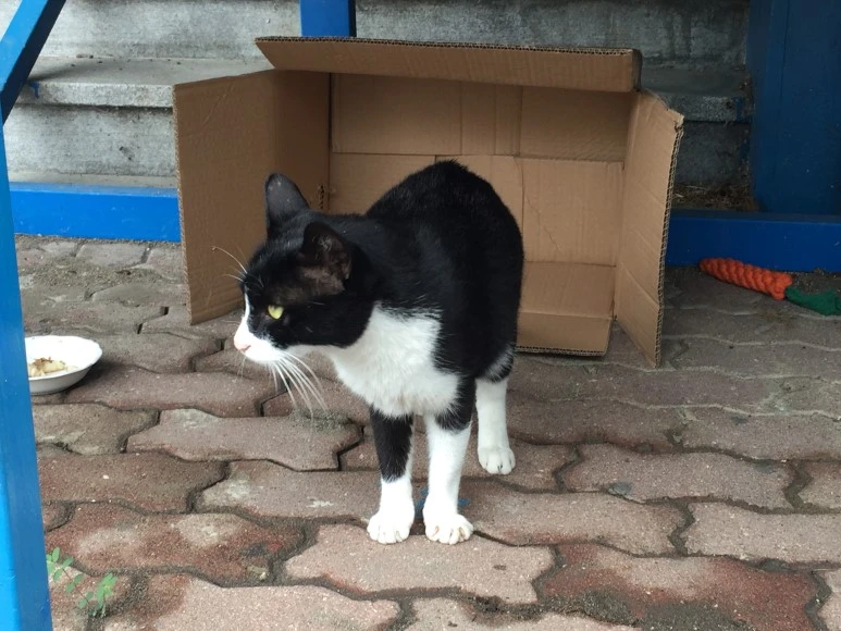 IMG_1843.JPG?type=w773