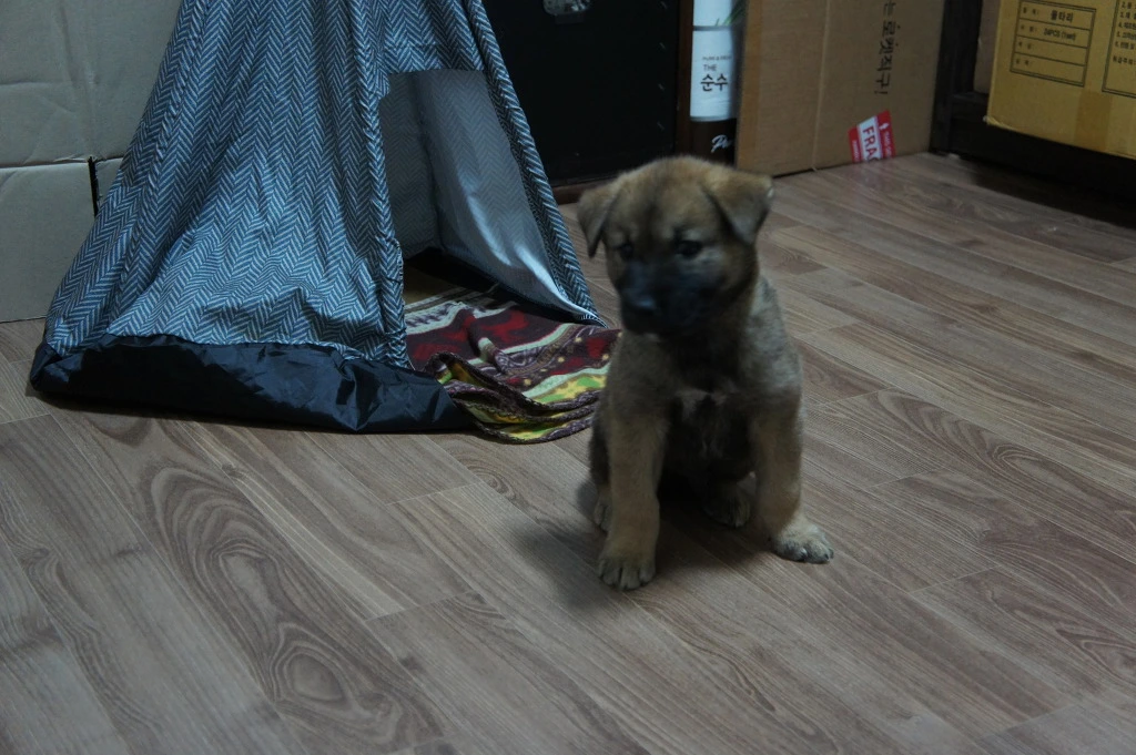 9950234A5BC18A68219B86