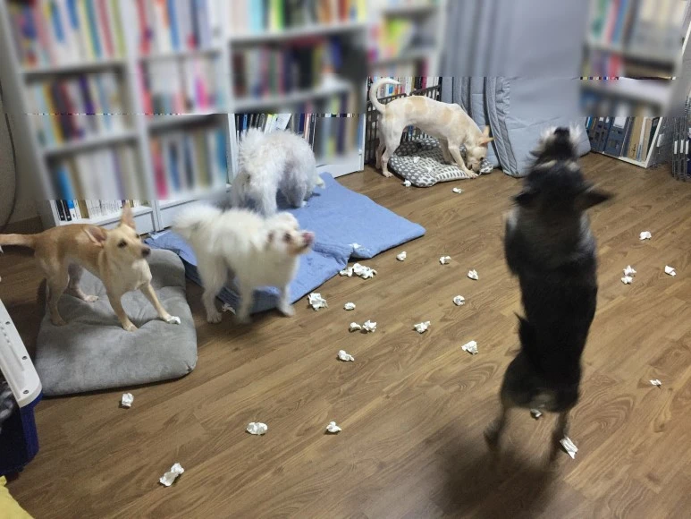 SE-4c649646-5aa4-4d76-bd1b-1a40c497f98a.jpg?type=w773