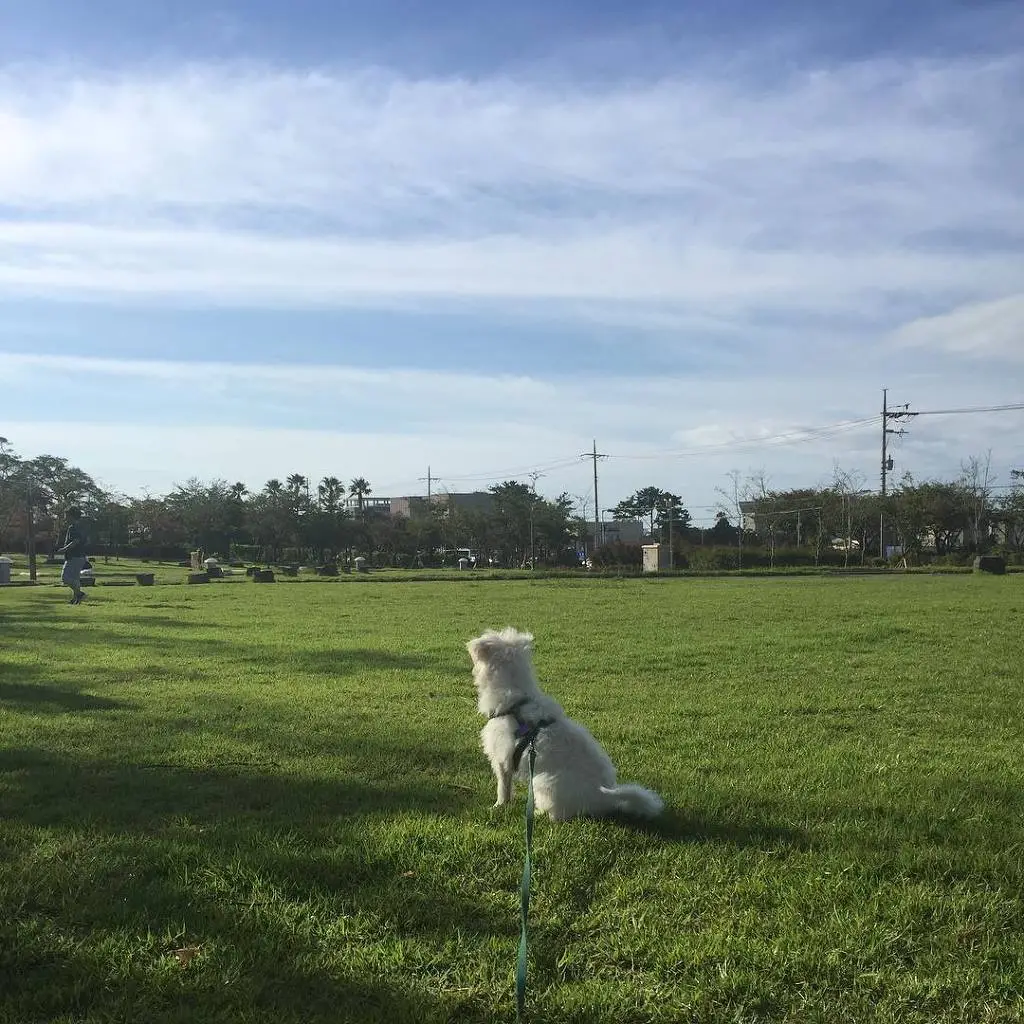 9915C5375BAA1487248F59