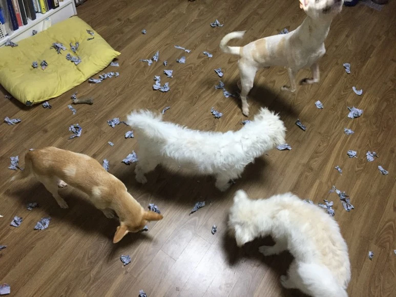 IMG_1972.JPG?type=w773