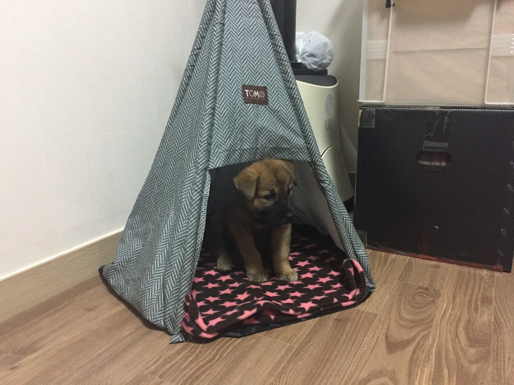 99CDF24A5BC18A652BC41D