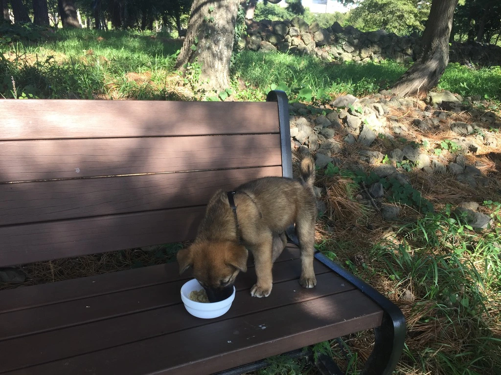 99EEF14A5BC18A732898A9