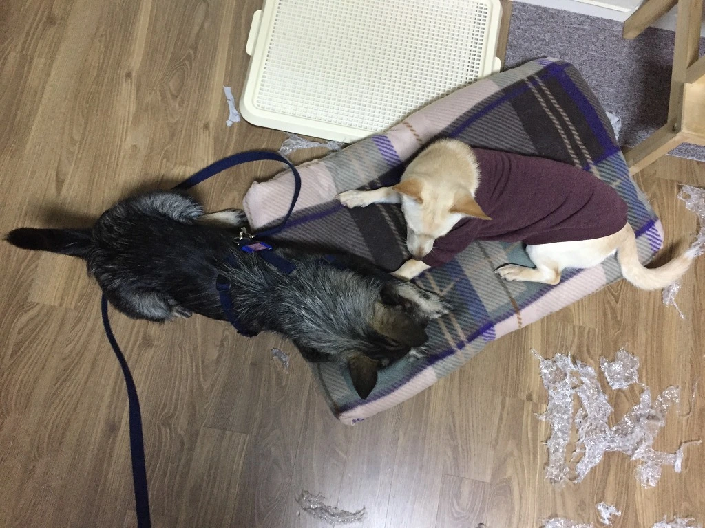 999EEE445C1578B4193F18