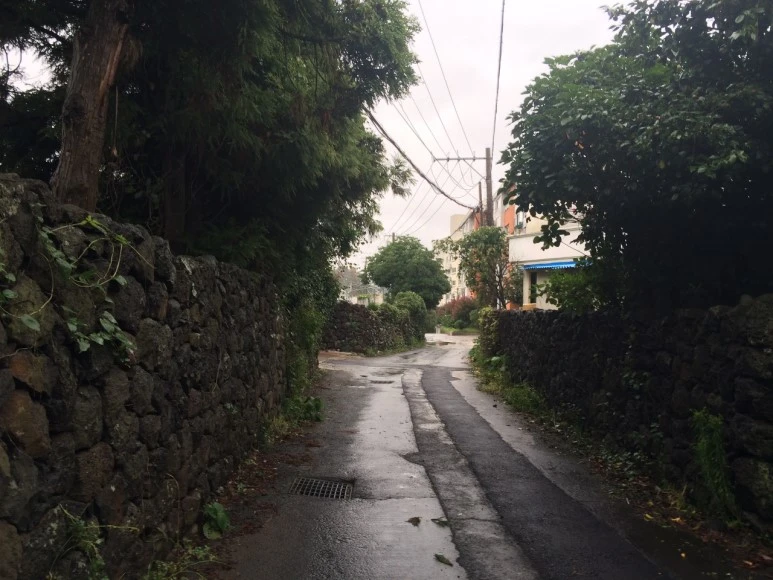 %EB%8B%A4%EC%9A%B4%EB%A1%9C%EB%93%9C.jpeg?type=w773