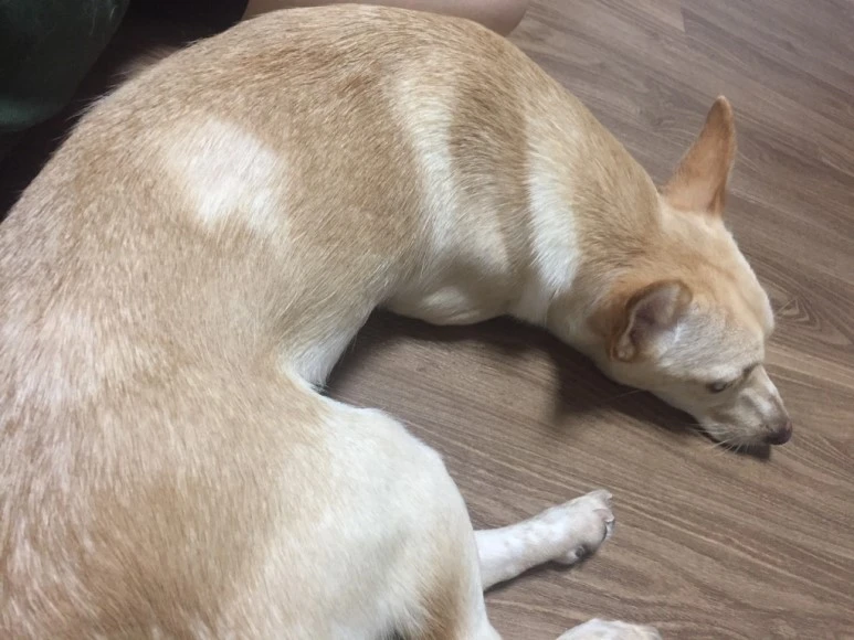 IMG_1872.JPG?type=w773