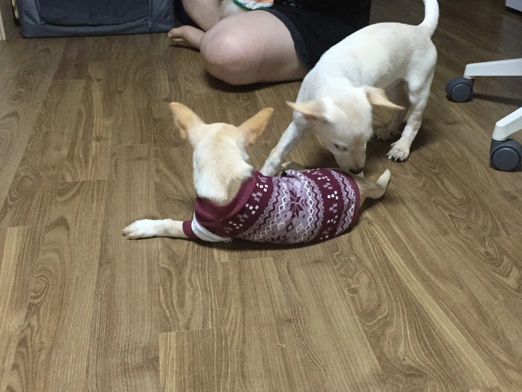 996827355B98E031116B42