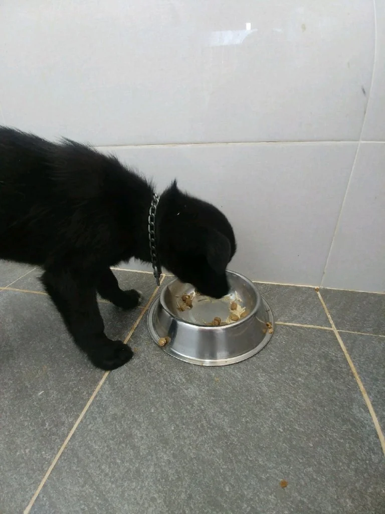 P20181012_155302090_965C373B-3FB6-46BF-B925-23986F6FFB59.JPG?type=w966