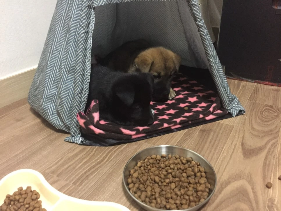 IMG_4469.JPG?type=w966