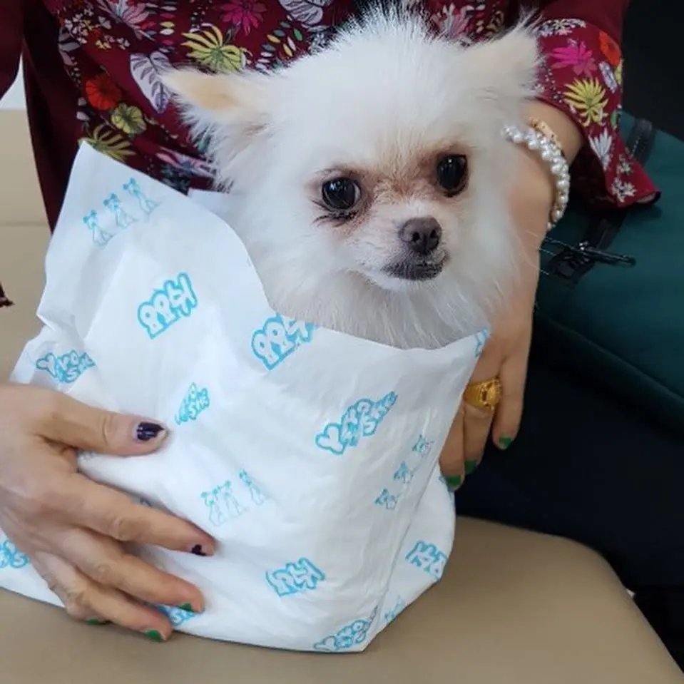 43390555_1837385659709348_1460636343494246400_n.jpg?type=w966