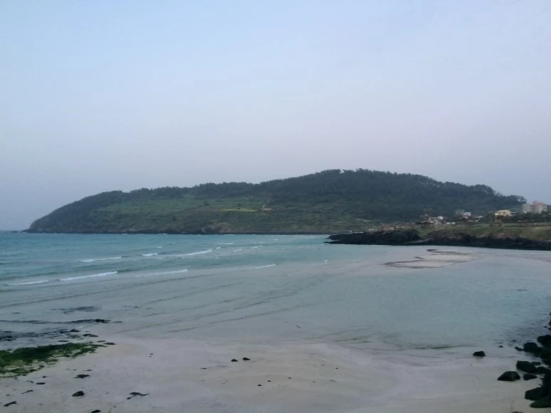 IMG_3727.JPG?type=w773