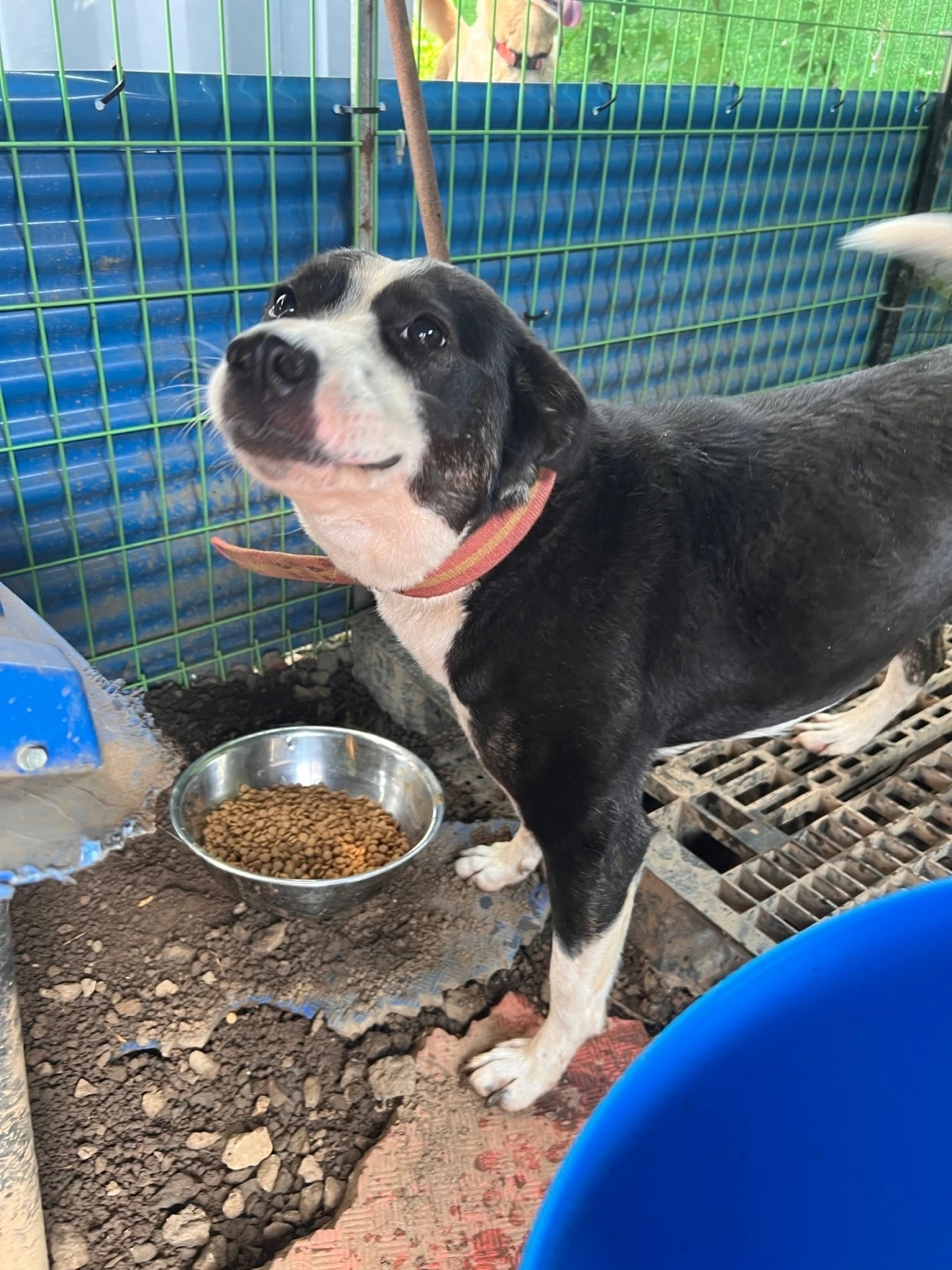 KakaoTalk_Photo_2023-08-27-20-25-23 009.jpeg