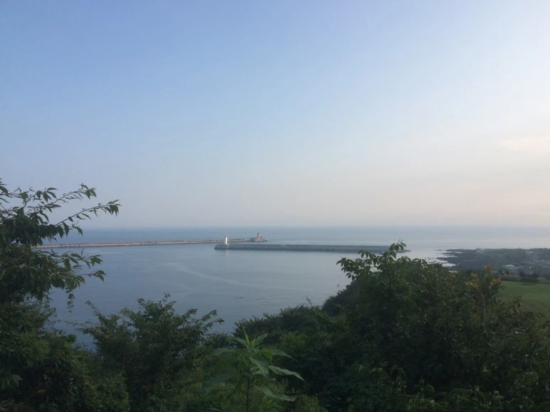 IMG_8039.JPG?type=w773