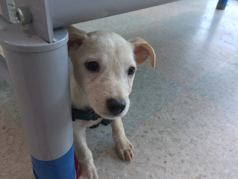 P20180810_141023962_6DCE821A-8068-49CF-BA84-3006F3F24679.JPG?type=w773